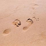 Footprint on sand beach