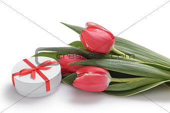 composition with tulips and gift box