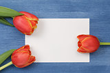 tulip with blank paper note