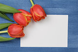 tulip with blank paper note