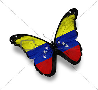 Venezuelan flag butterfly, isolated on white