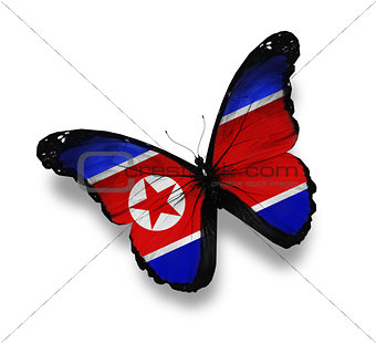 Korean flag butterfly, isolated on white