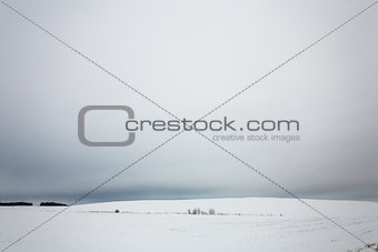 Winter landscape with snow and trees