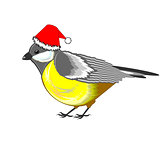 A cute Christmas titmouse isolated on a white background