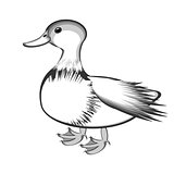 A monochrome sketch of a duck