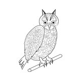 A monochrome sketch of an owl