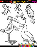 Cartoon Birds for Coloring Book