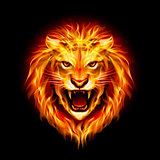 Head of fire lion.