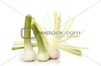  pile of garlic shoots