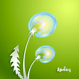 Green Background with Dandelion