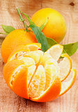 Tangerine with Segments