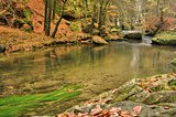 River Kamenice