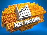 Net Income. Wordcloud Concept.