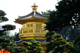pagoda roof 