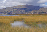 Titicaca lake.