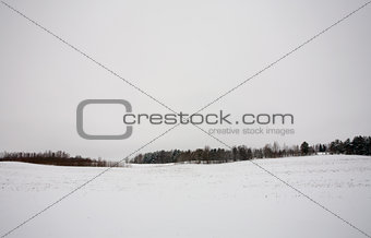 Winter landscape with snow and forest