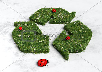 Ladybugs on recycling symbol