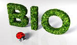 Ladybirds with bio text