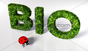 Ladybirds with bio text