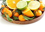different types of citrus fruits