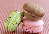 different colorful macaroons