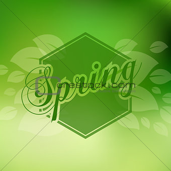 Stylish Spring seasonal card design with bokeh effect.