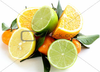 different types of citrus fruits (orange, lime, lemon, tangerine)