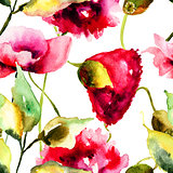 Watercolor illustration of Poppy flowers