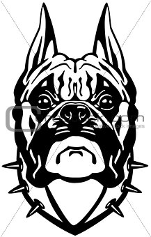 boxer dog head black white