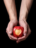 adult man hands holding apple with carved heart