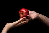 female hands giving apple