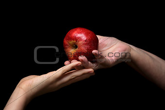 female hands giving apple