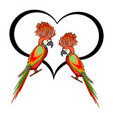 A couple of macaw parrots with a heart
