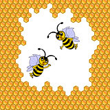 Two funny cartoon bees surrounded by honeycombs