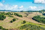 Landscape Tuscany near Volterra