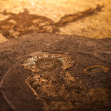 Detail of Jesus