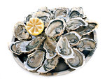 french oysters