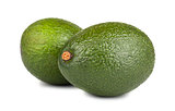 Two green ripe avocado