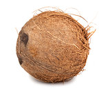 Single ripe coconut