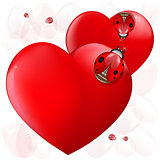 Love heart ladybugs