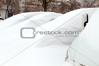 Cars Covered with Snow