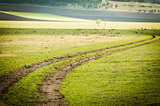 dirt road through the field