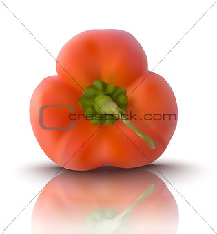 vector red bell pepper