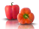 vector red bell peppers