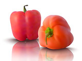 vector red bell peppers