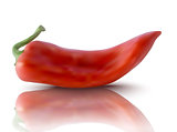 vector red pepper