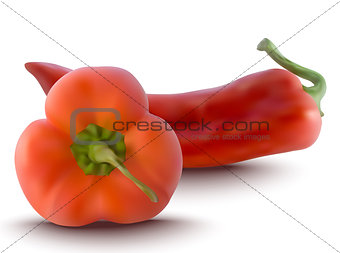 vector red peppers