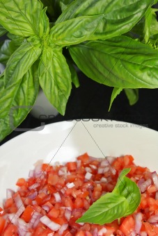 Tomatoe Salsa With Basil