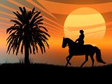 Equestrian in the sunset