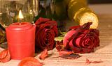 scarlet sweetheart rose